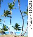 タヒチ　ヤシの木　青い空 890151