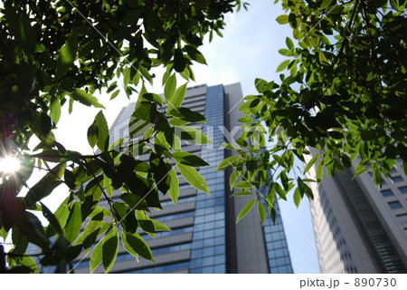 都会の緑 890730