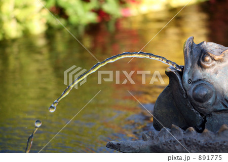 ちょろろ_1 ちょろろ_1 891775