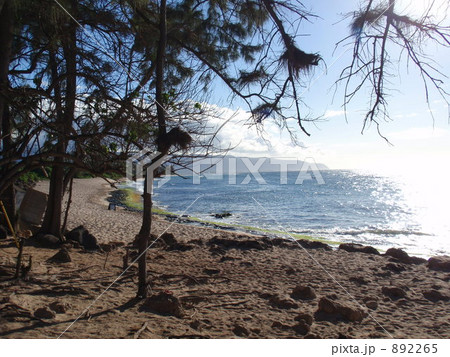 ノースショアの海岸 ノースショアの海岸 892265