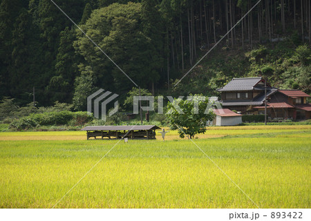 案山子のある風景 893422