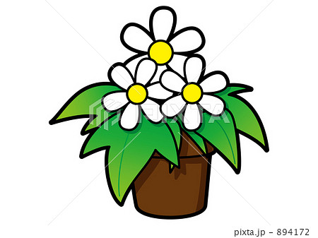 白い花の鉢植えのイラスト素材 4172