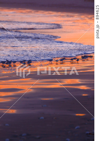 早朝の浜辺 早朝の浜辺 894625