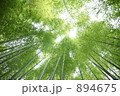 竹林の緑陰 894675