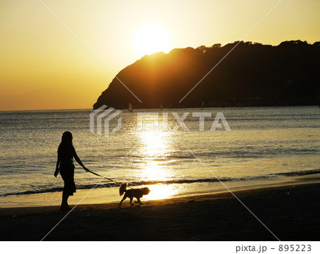逗子海岸から見た大崎と犬の散歩 895223