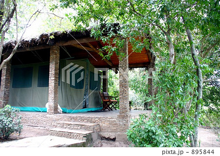 マサイマラのロッジ マサイマラのロッジ 895844