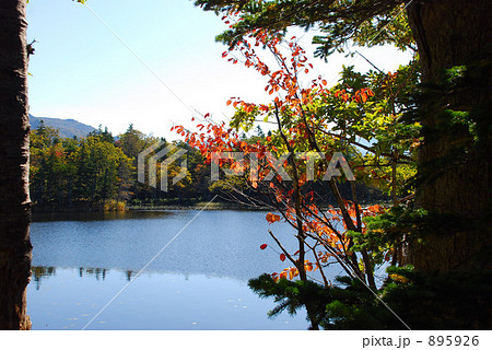 知床五胡の自然 895926