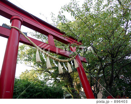 赤い鳥居としめ縄 896403