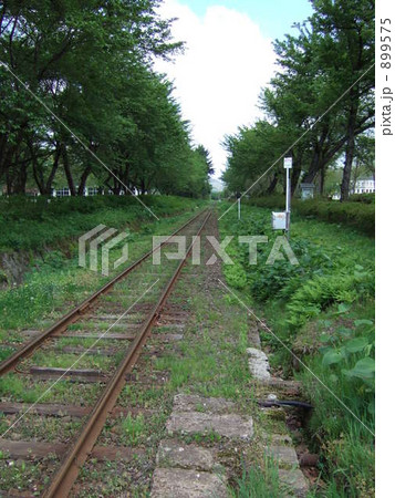 小坂製錬鉄道の使用されなくなった線路 899575