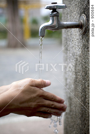 手洗い 900684