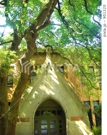 2009年9月 本郷東京大学キャンパスにて 2009年9月 本郷東京大学キャンパスにて 901320