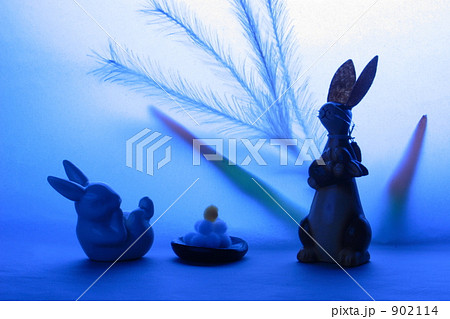 何見てはねる？ 902114