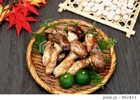 松茸と銀杏 902853