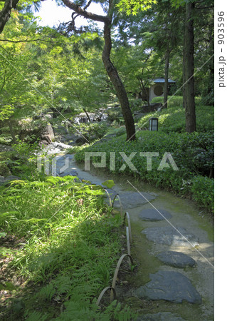庭園 903596