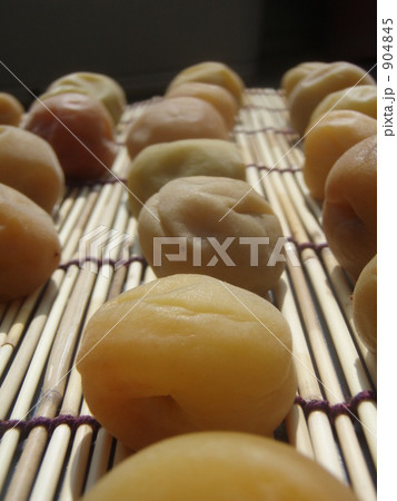 梅干しづくり 904845