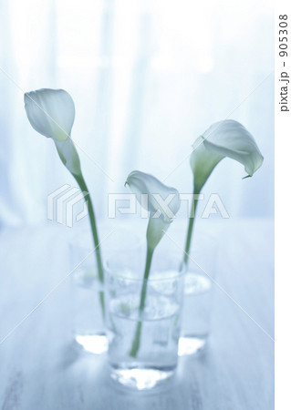 カラー三輪 905308