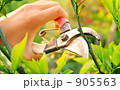 切り整える 905563