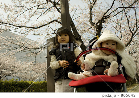 桜の木の下のツーショット 905645