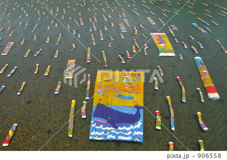 仁淀川の鯉流し 906558