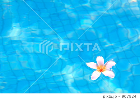 ブルーの中に浮かぶプルメリア 907924