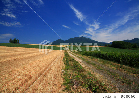 麦畑と富良野岳 908060