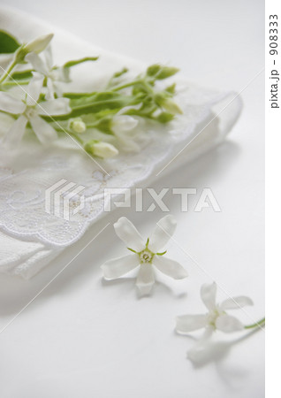 静かな時　２ 908333