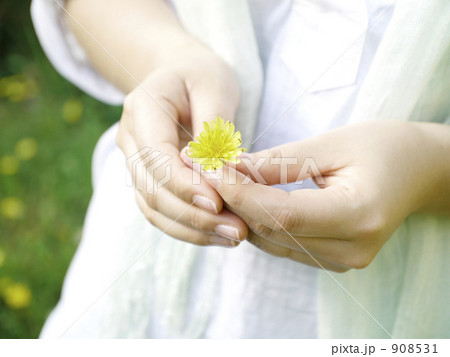 小さな幸せ 小さな幸せ 908531