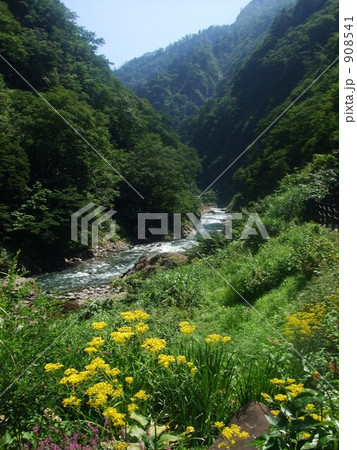 渓谷 908541