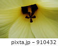 910432