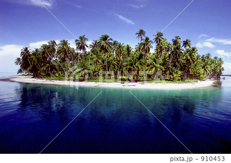 残された楽園 910453