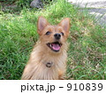 モラン・メス・もうすぐ1歳 910839