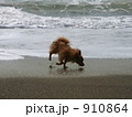 モラン・メス・もうすぐ1歳 910864