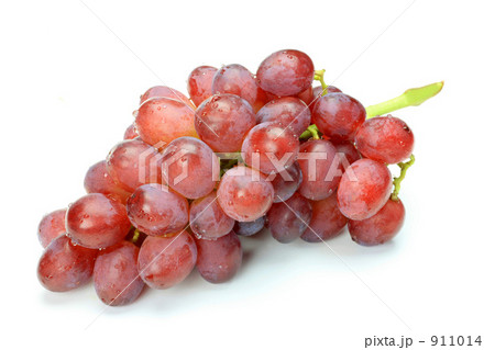 ブドウ ブドウ 911014