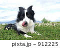 912225