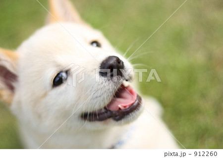 912260