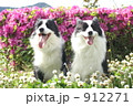 912271