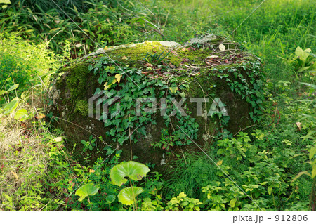 苔と蔦に覆われた岩 912806