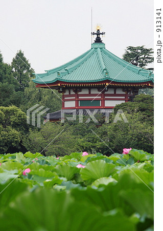弁天堂と蓮花　東京・上野・不忍池 913141