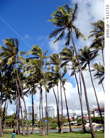 アラモアナ・ビーチパーク 913710