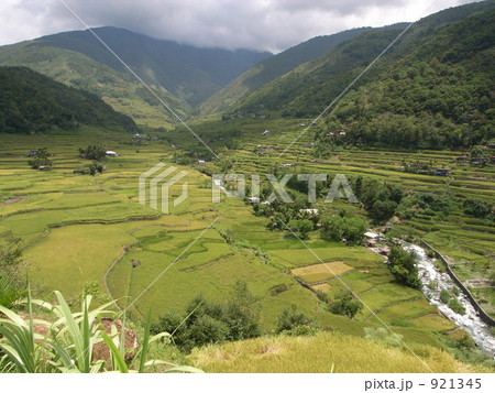 棚田 921345