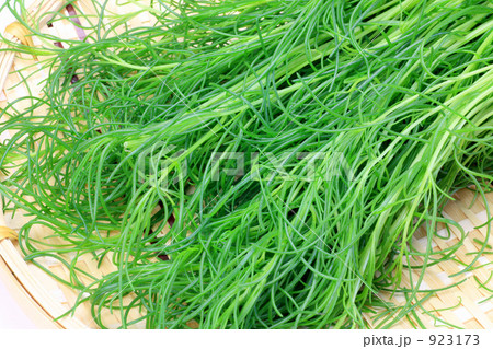 おかひじき 923173