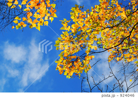 小春日和 小春日和 924046