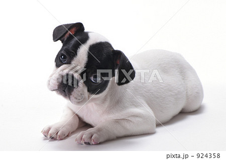 なんでっか？ 924358