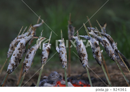 鮎の炭火焼 鮎の炭火焼 924361