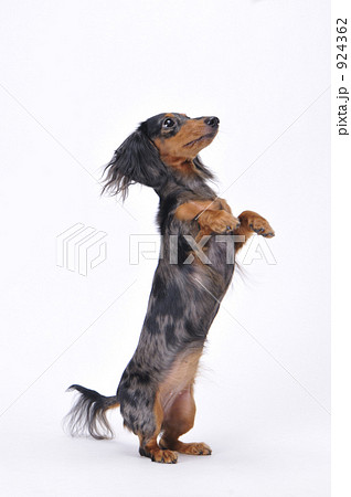 欲しいです。 欲しいです。 924362