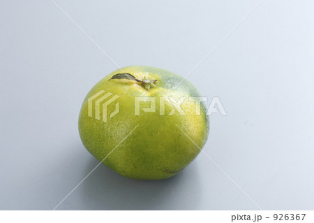 緑のミカン 926367