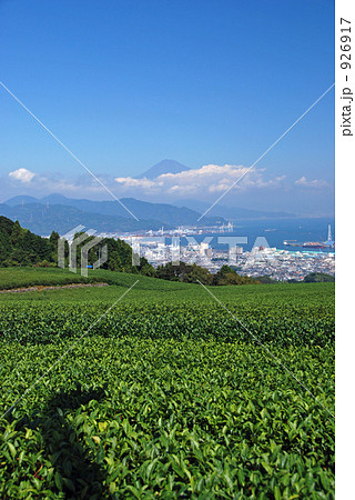茶畑と富士 926917