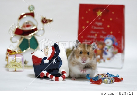 ハムちゃんのクリスマス 928711