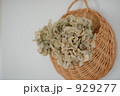 アンティークアジサイ 929277