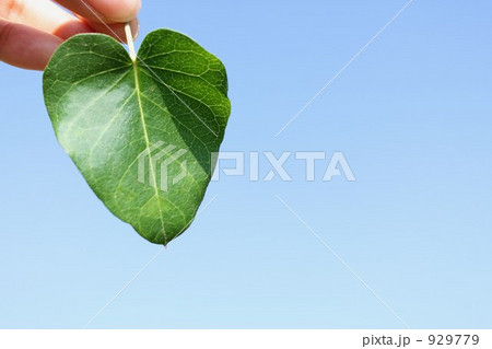 エコイメージ 929779